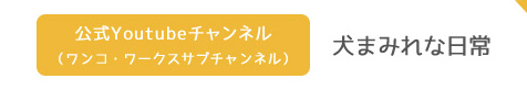banner_youtube