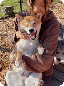 Caring dogs
with 
LOVE