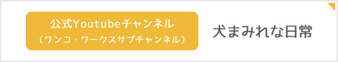 long-term_14