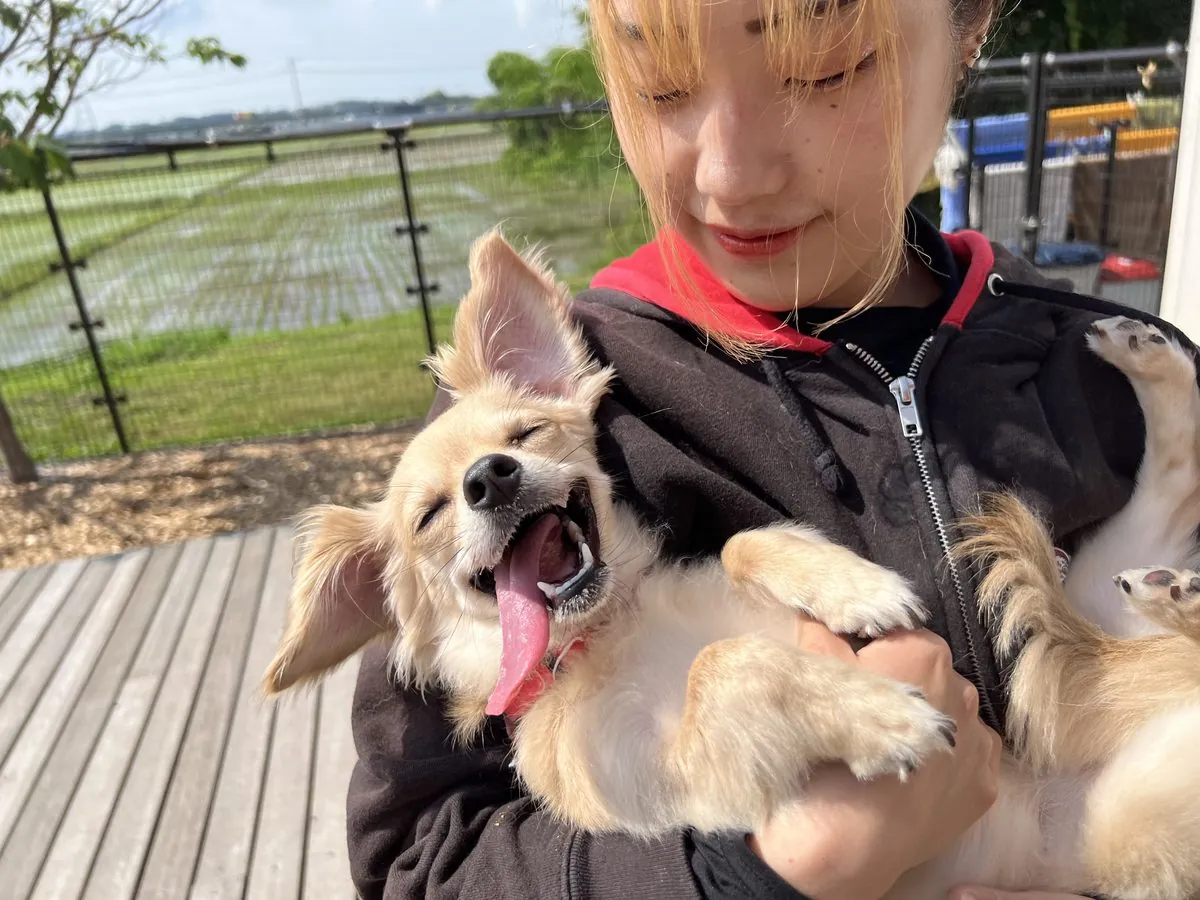 スタッフに抱っこされて嬉しそうなワンちゃん